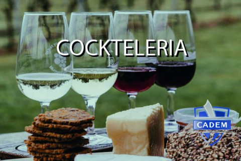 cockteleria_cata_vinos_Mesa de trabajo 1